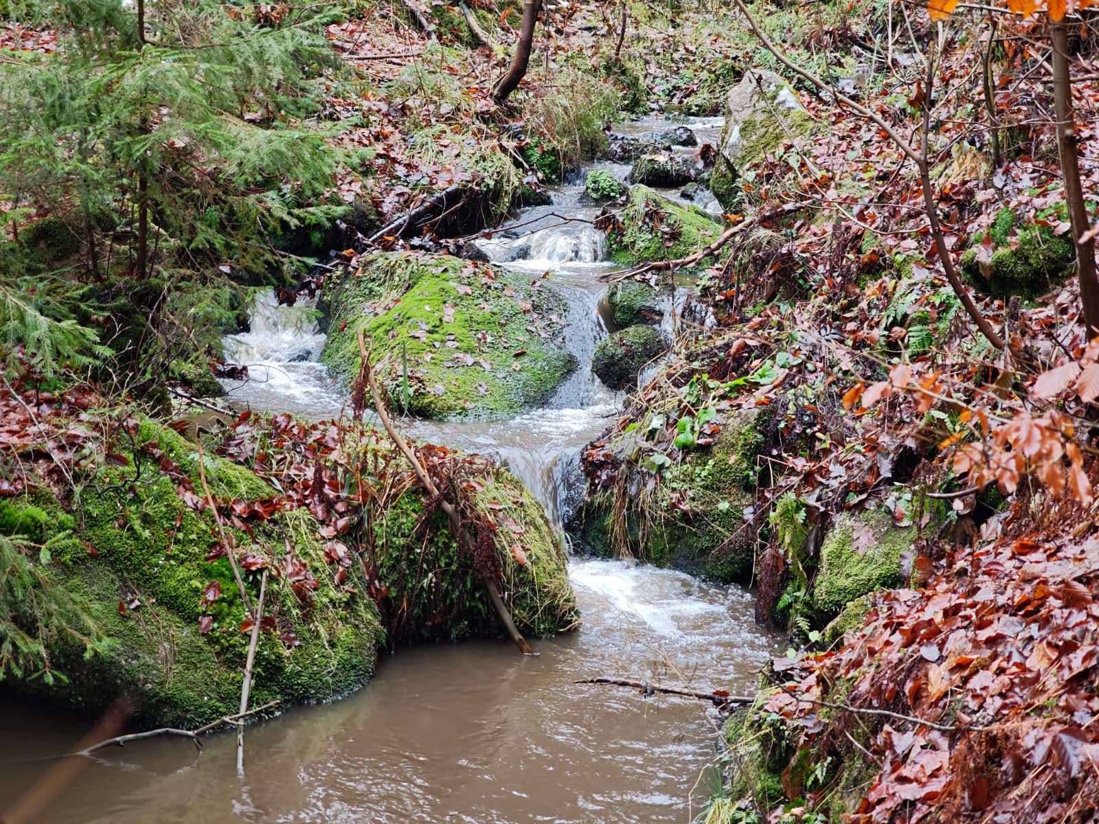 Potok z Kořenova do Desné