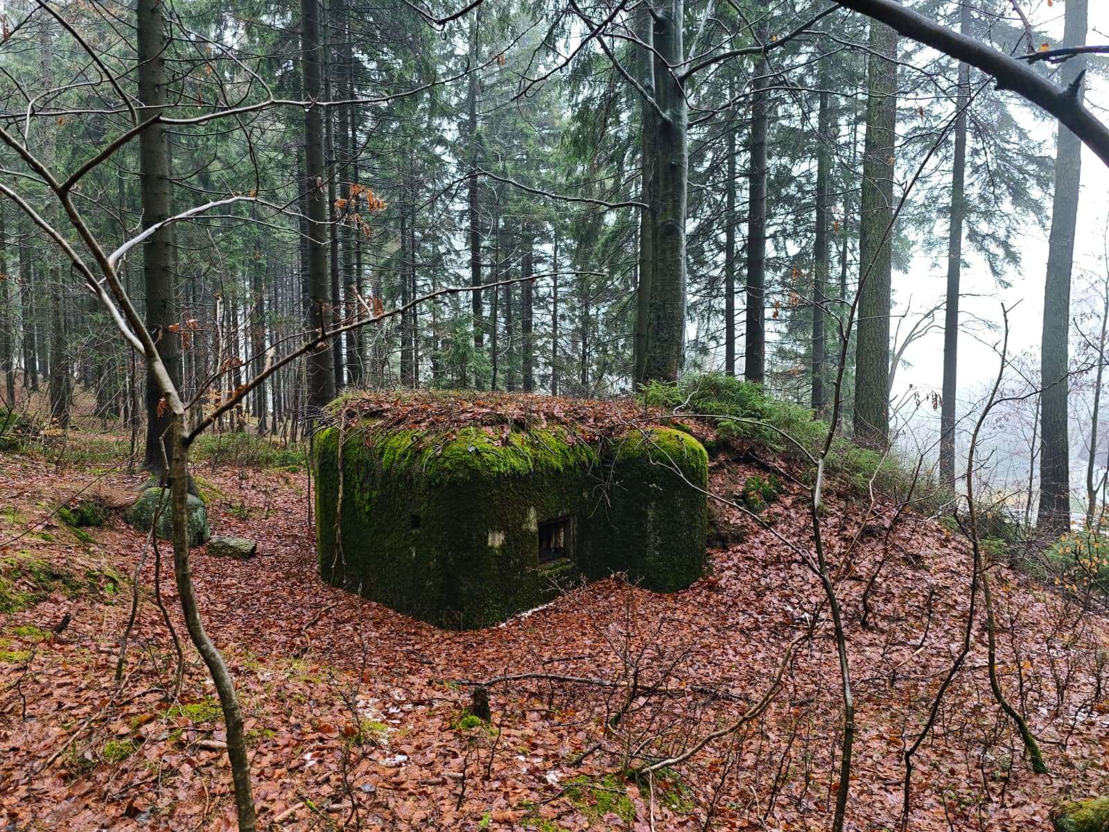 Řopík Kořenov Jizerky